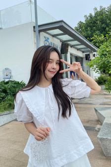 雏菊